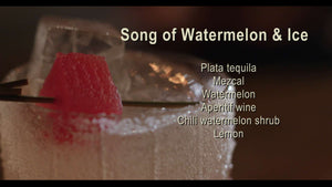 Song of Watermelon & Ice